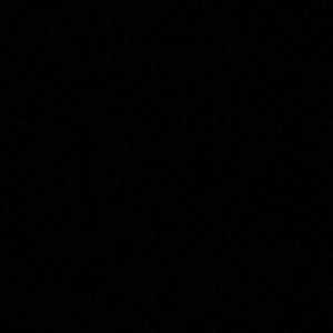 Meet your Posher, Carter